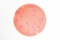 VRBD Agar - LI 30ml 0185E-20P
